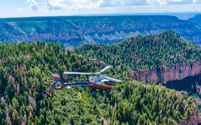 Helicopter flying over Grand Canyon South Rim with forested cliffs below.