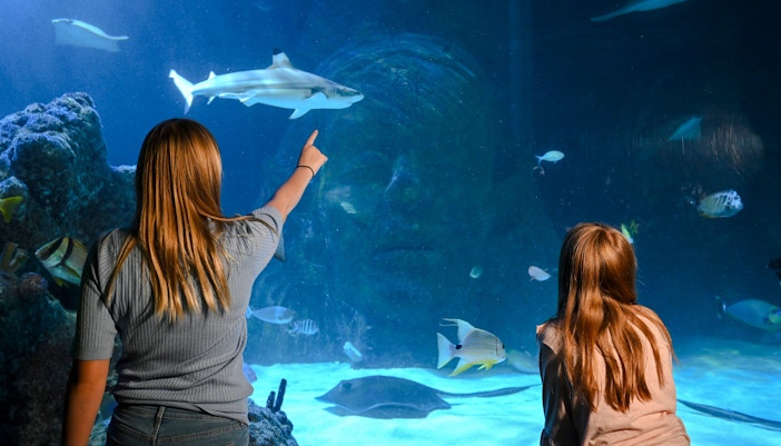 mother with child at an aquarium