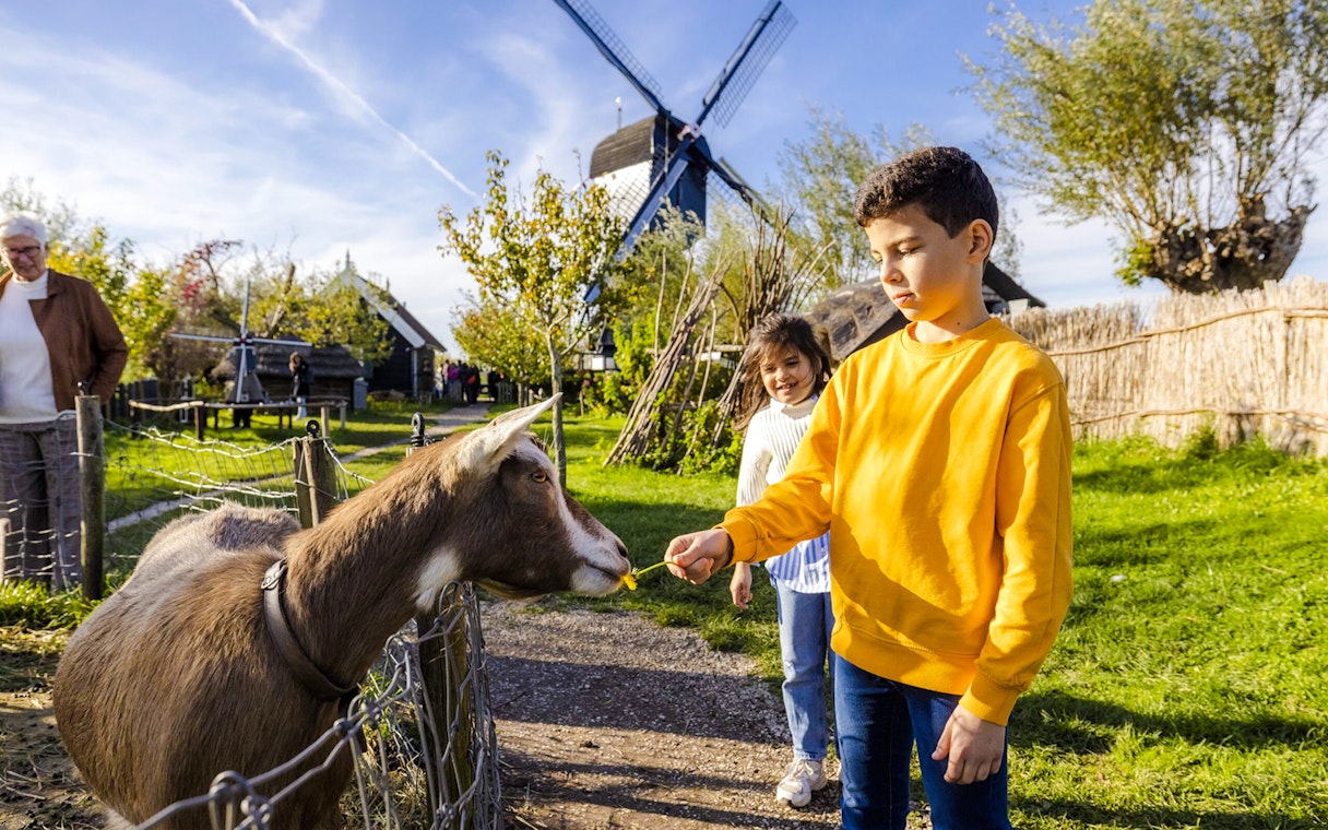 Children feeding a goat near Blokweer Museum Mill at Kinderdijk.