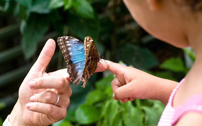 Butterfly landing on a child's finger at Science Centre Singapore.