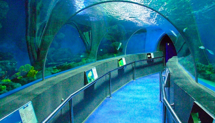 Underwater Tunnel of Barcelona Aquarium