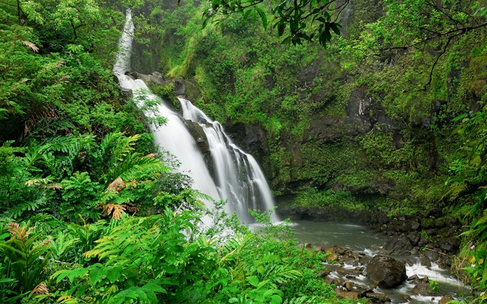 Waterfall surrounded by lush greenery on the Road to Hana, Maui, Hawaii.