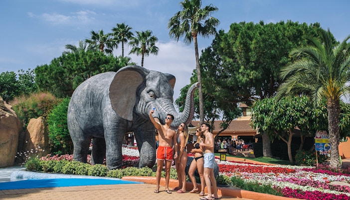 people taking pictures at aqualand