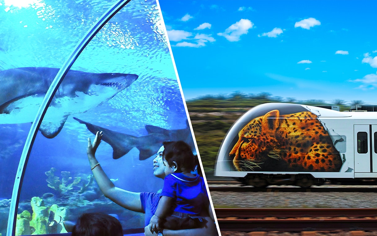 Aquaria KLCC tunnel with sharks and KLIA Ekspress train with leopard design.