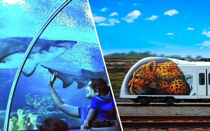 Aquaria KLCC tunnel with sharks and KLIA Ekspress train with leopard design.