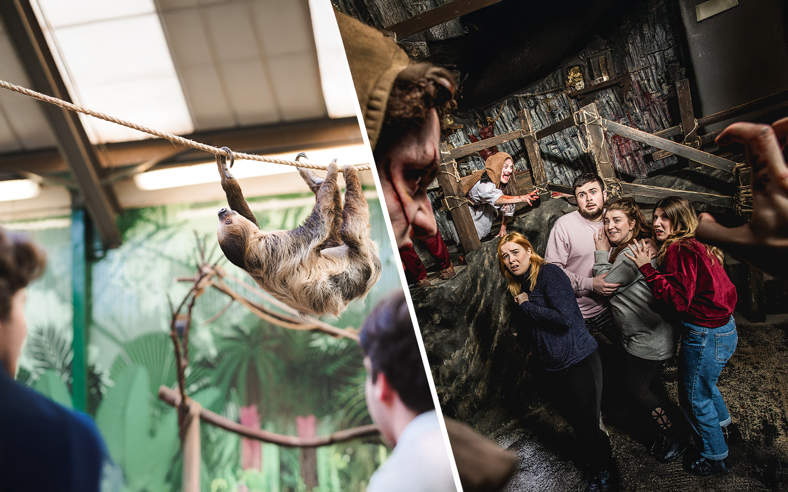 Sloth hanging on a rope at Edinburgh Zoo with visitors observing.