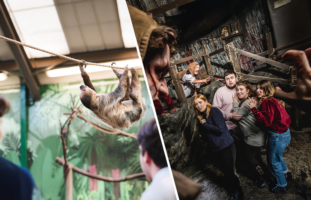 Sloth hanging on a rope at Edinburgh Zoo with visitors observing.