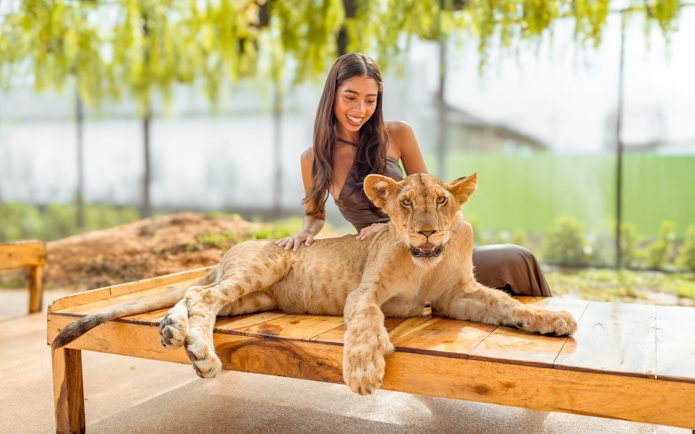 Young woman sitting with a lion at Lion Land Phuket.