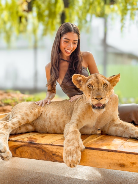 Young woman sitting with a lion at Lion Land Phuket.
