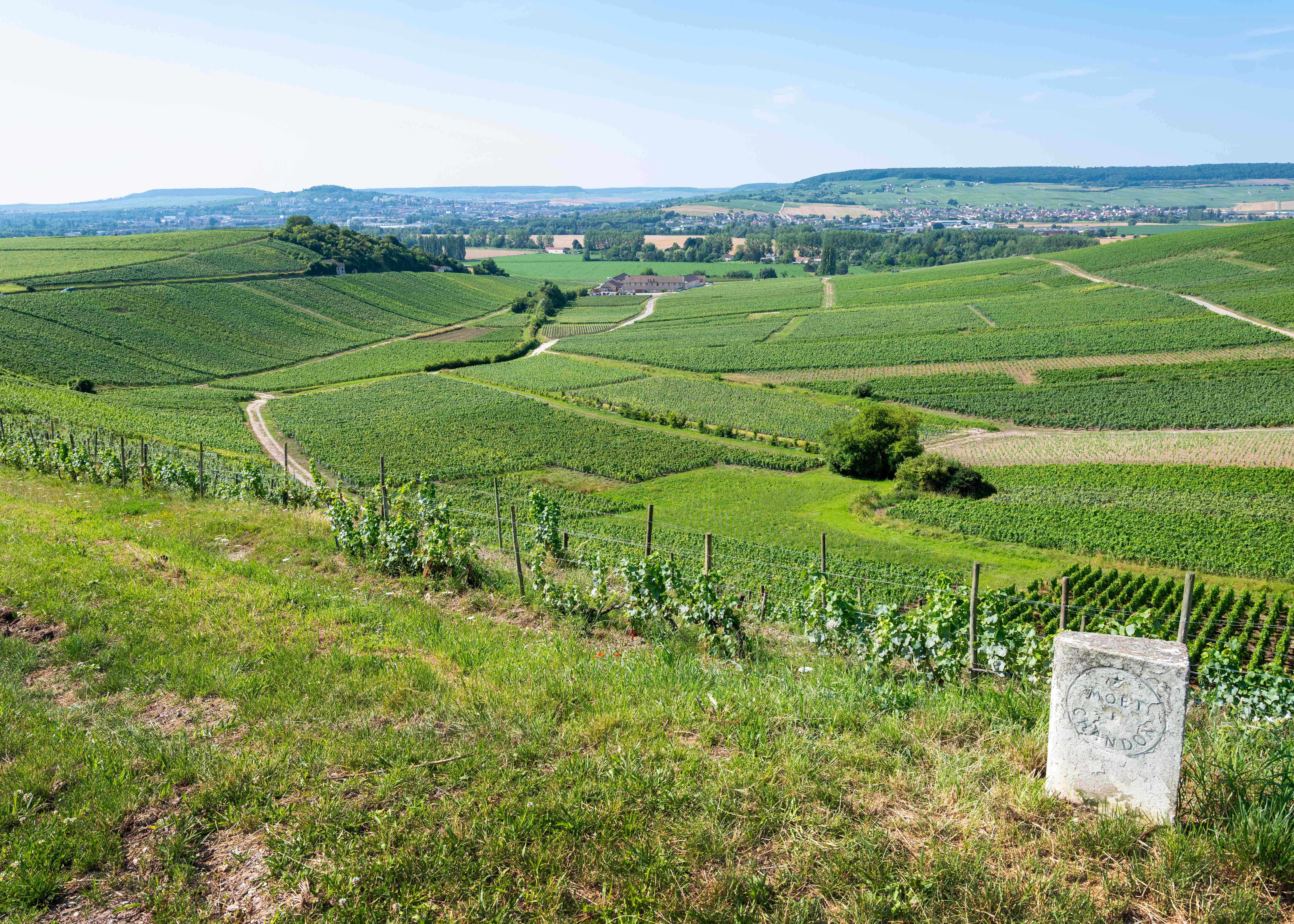 Valentine's Day in Paris