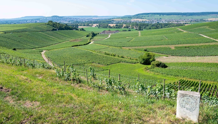 Valentine's Day in Paris