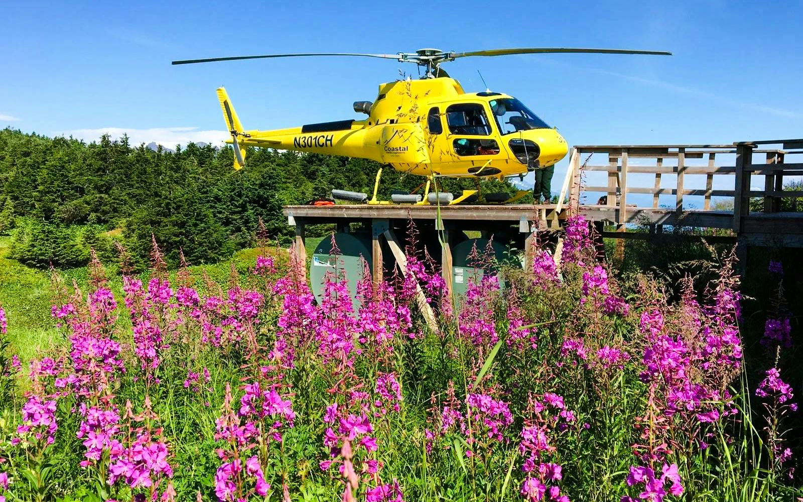 Yellow helicopter on a platform surrounded by pink wildflowers in Juneau, Alaska.