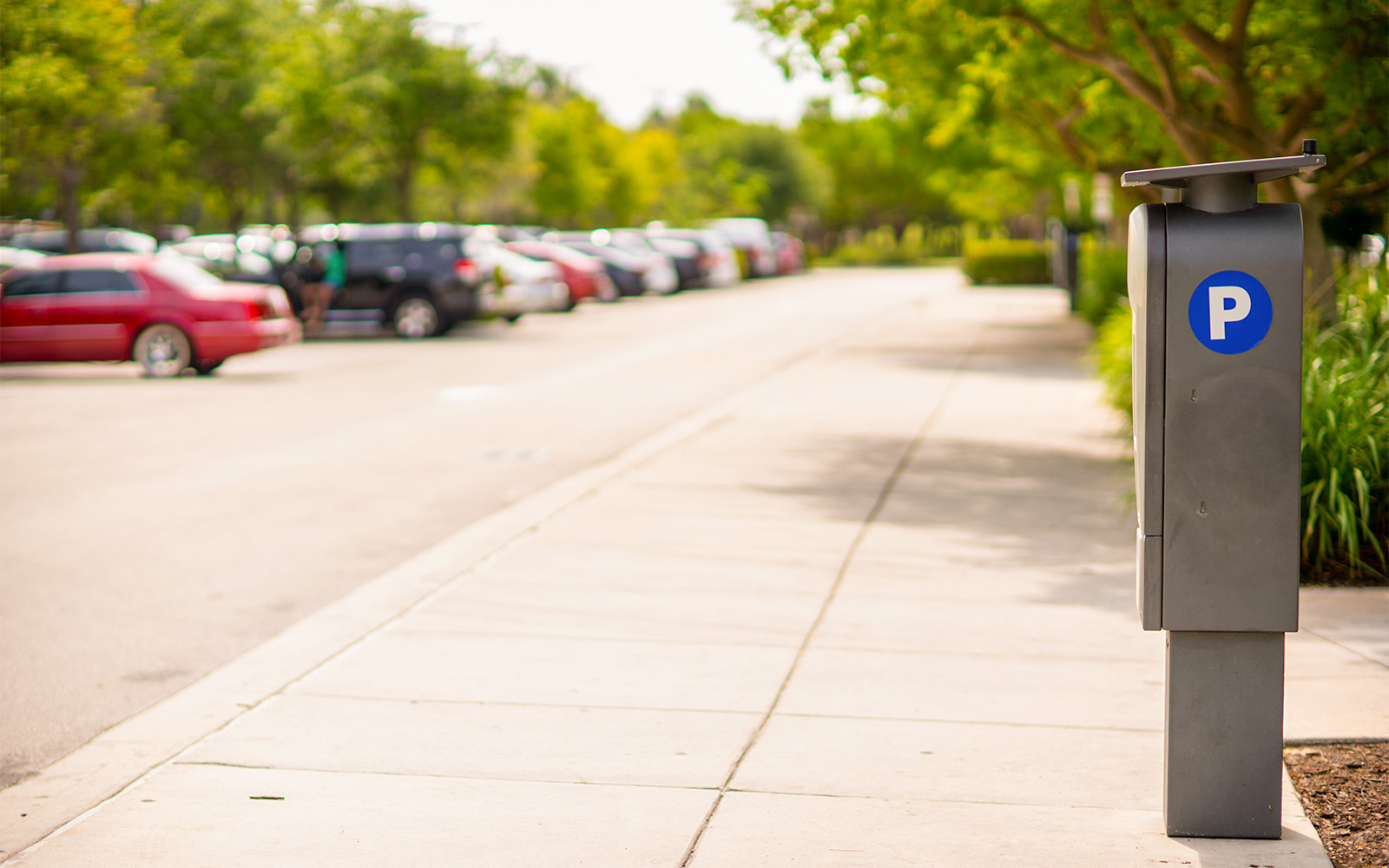 Parking area at Parque Warner Madrid with cars and parking meter.