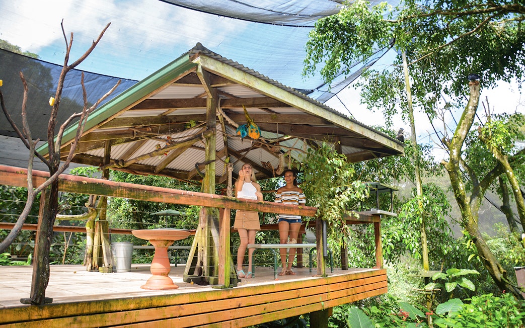 Visitors at a wooden pavilion in Kuranda Koala Gardens surrounded by lush greenery.