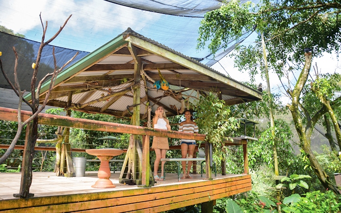 Visitors at a wooden pavilion in Kuranda Koala Gardens surrounded by lush greenery.