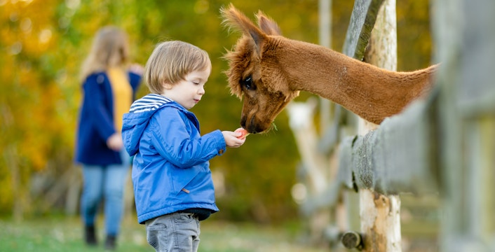 Dairyland Farm Theme Park
