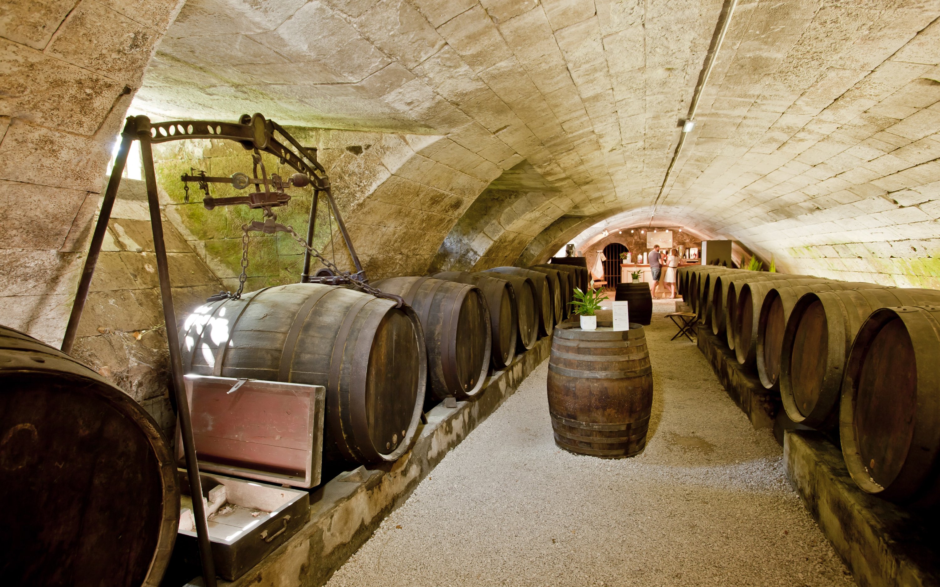 Wine cellar with barrels at Chenonceau Castle, France.