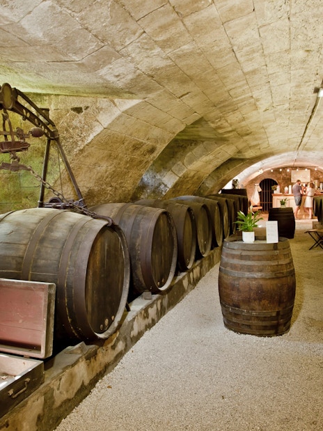 Wine cellar with barrels at Chenonceau Castle, France.