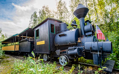 Historic train on tracks surrounded by lush greenery in Fairbanks, Alaska.