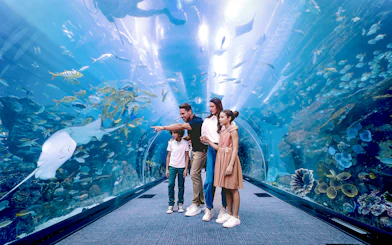 Family exploring underwater tunnel at Dubai Aquarium.