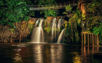 paronella park cassowary coast guided day and night tour-5