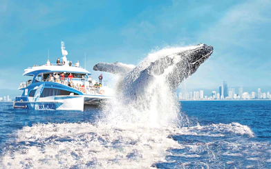 Whale breaching near a cruise ship on a whale watching tour with city skyline in the background.