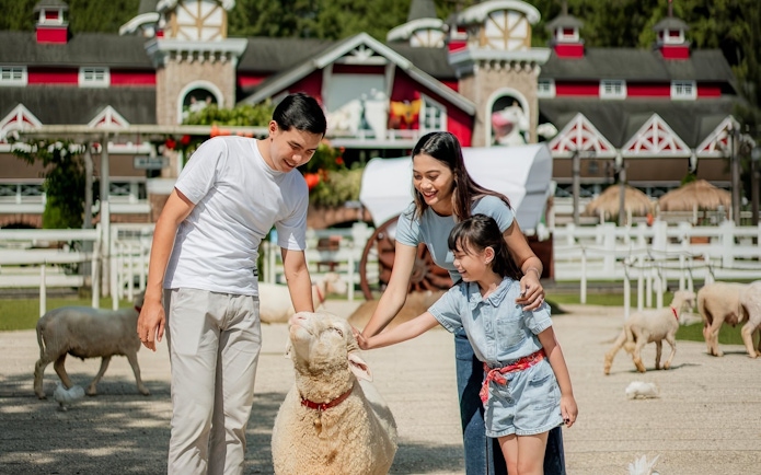 Family petting sheep at Dairyland Farm Theme Park Puncak.