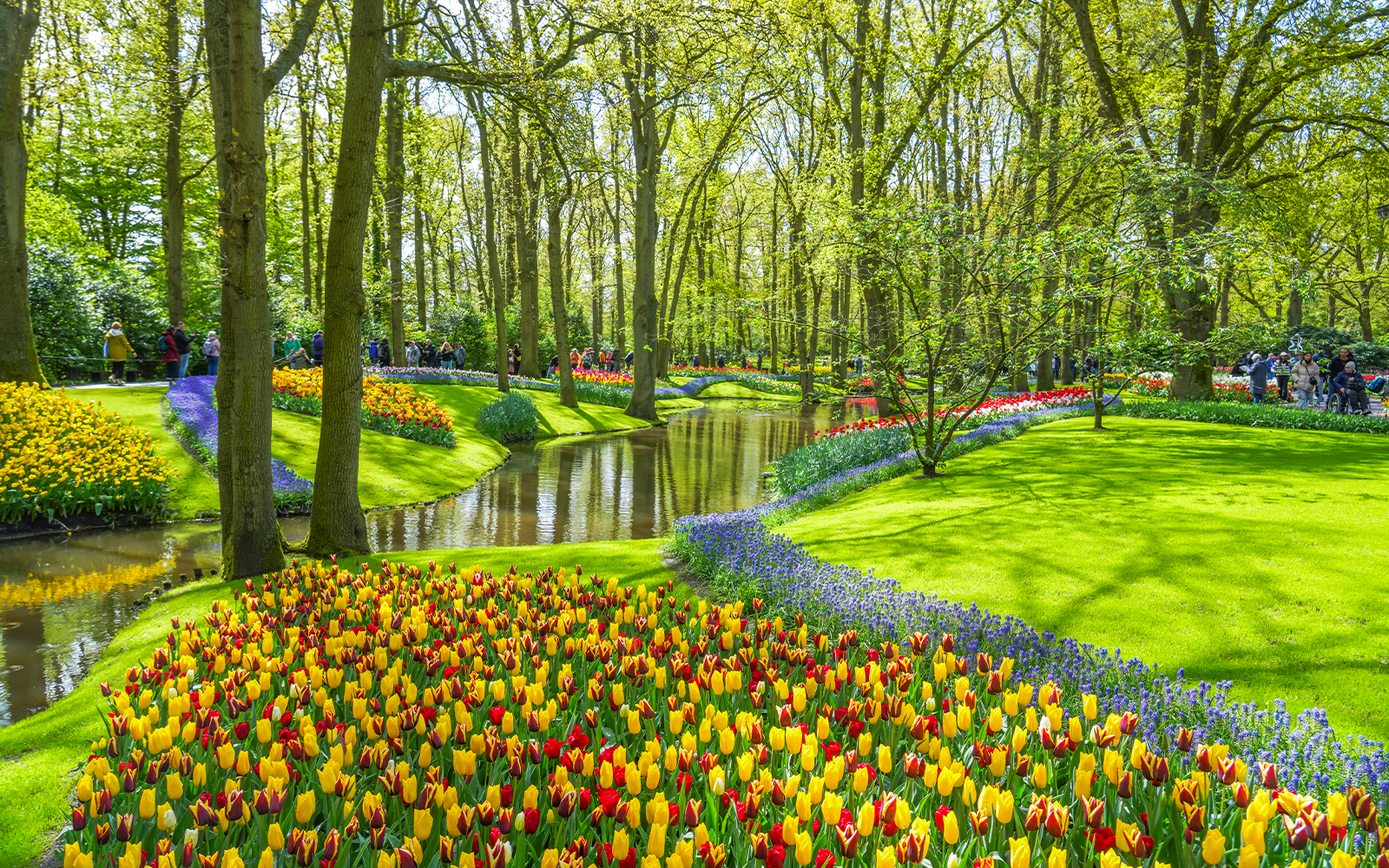 Tulips in bloom along a stream at Keukenhof Gardens, Netherlands.