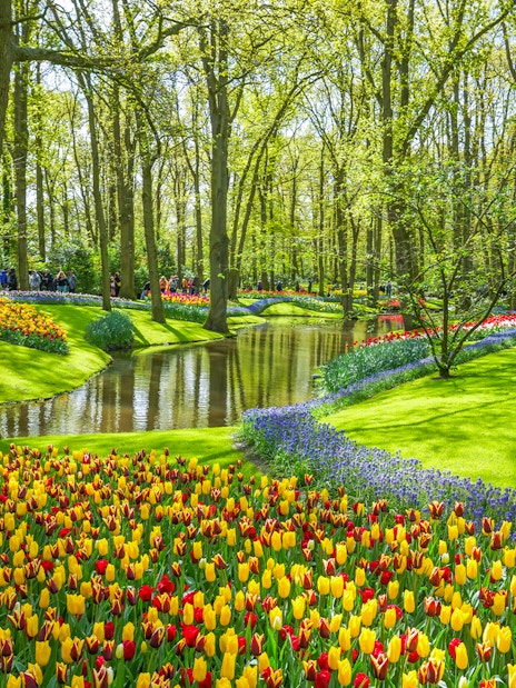 Tulips in bloom along a stream at Keukenhof Gardens, Netherlands.