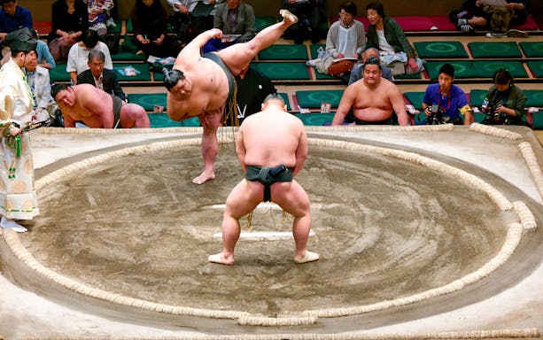 Sumo wrestlers competing in a Tokyo arena during a tournament.