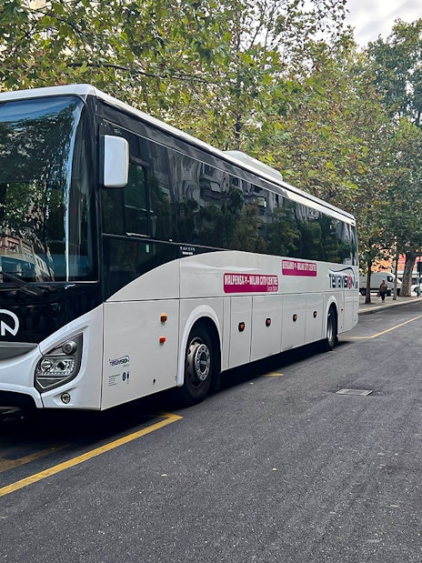 Terravision bus for Fiumicino express airport transfers parked on a city street.
