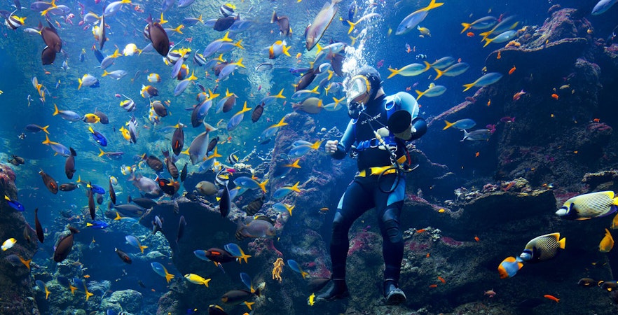 California Academy of Sciences