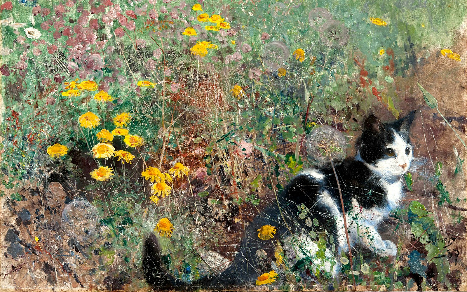 Black and white cat in a field of yellow flowers, Bruno Liljefors exhibition, Petit Palais.