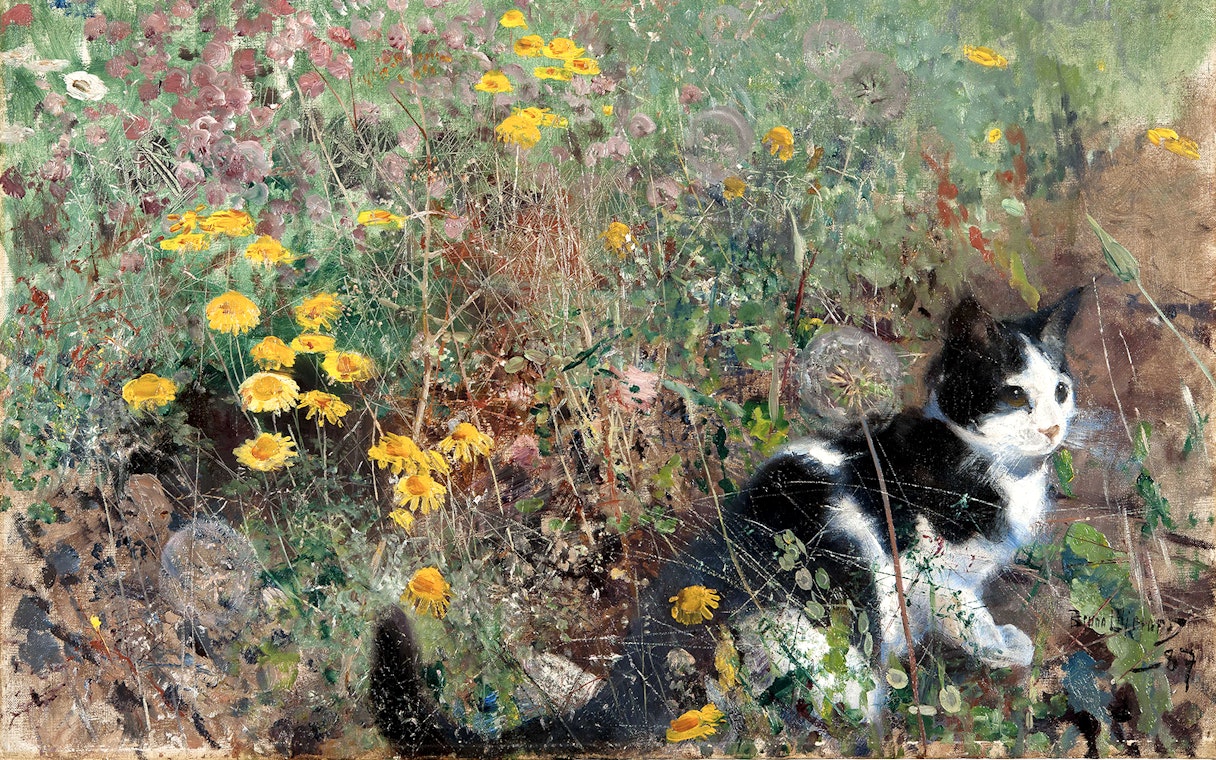 Black and white cat in a field of yellow flowers, Bruno Liljefors exhibition, Petit Palais.