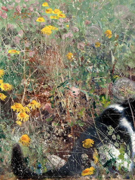 Black and white cat in a field of yellow flowers, Bruno Liljefors exhibition, Petit Palais.