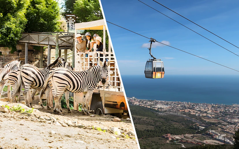Zebras at Selwo Aventura park and Benalmadena Cable Car over Estepona, Spain.