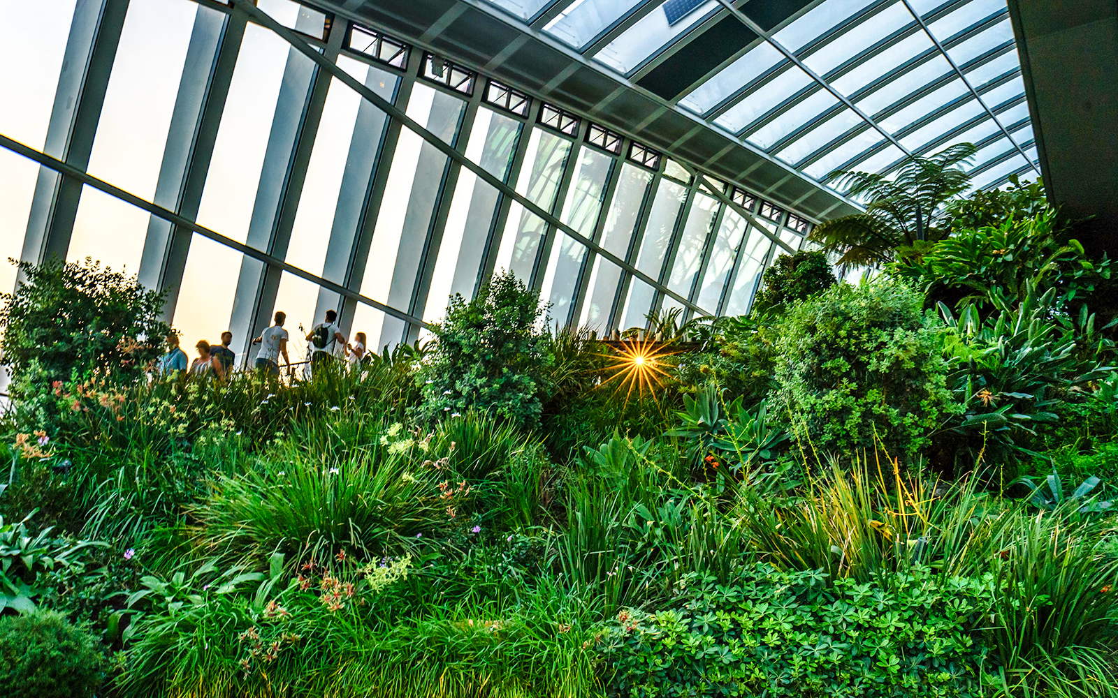 Sky Garden interior with lush greenery and visitors at 20 Fenchurch Street, London.