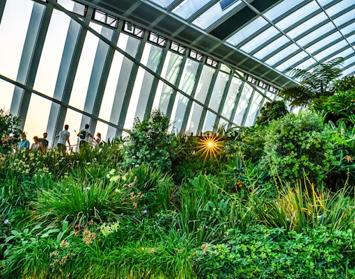 Sky Garden interior with lush greenery and visitors at 20 Fenchurch Street, London.