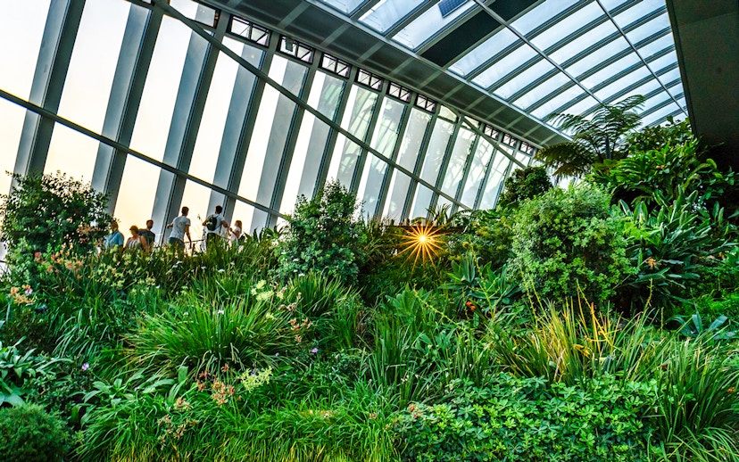 Sky Garden interior with lush greenery and visitors at 20 Fenchurch Street, London.