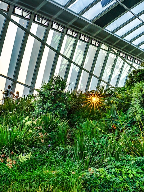 Sky Garden interior with lush greenery and visitors at 20 Fenchurch Street, London.