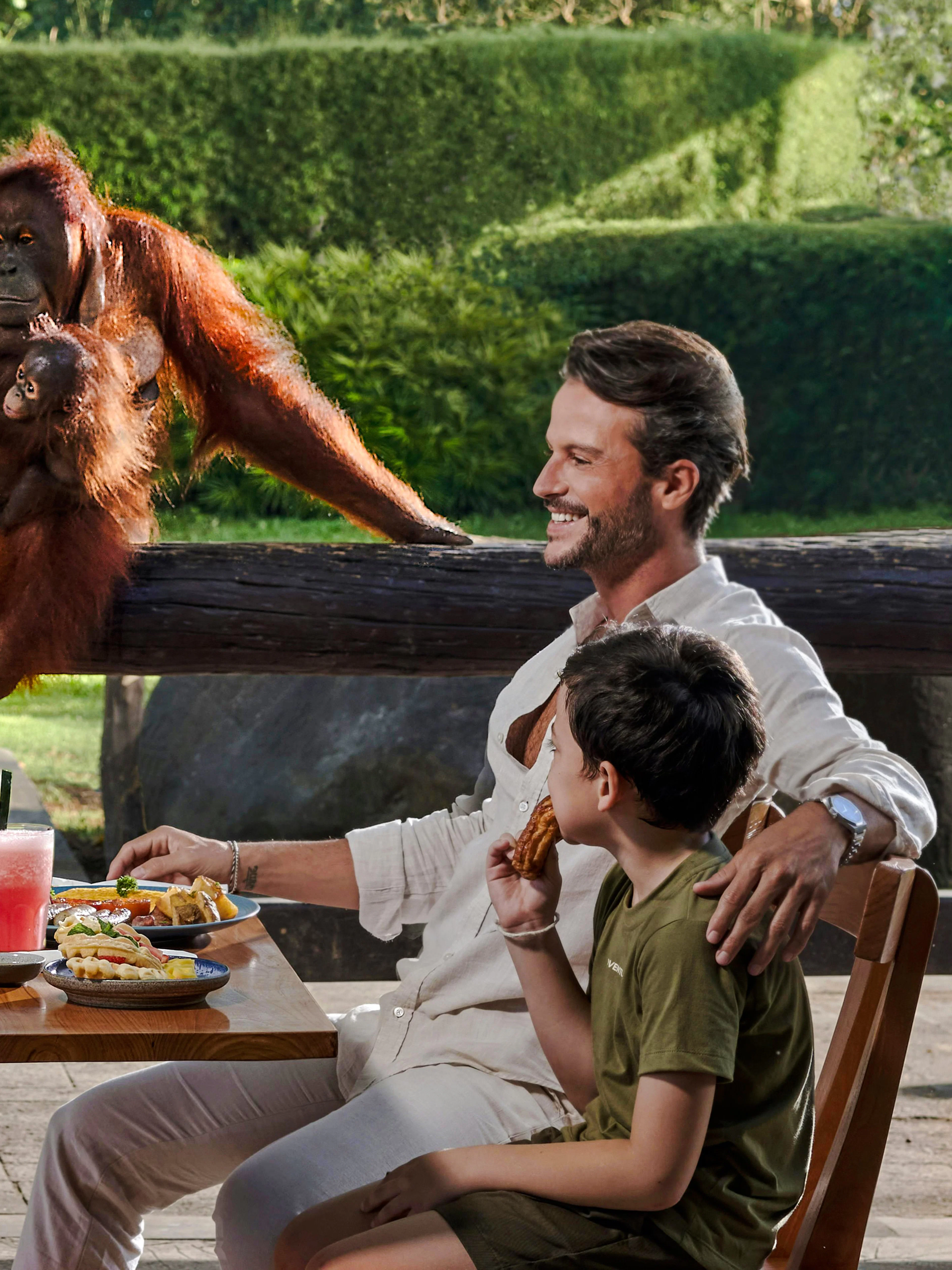 Family enjoying breakfast with orangutans at a wildlife park.