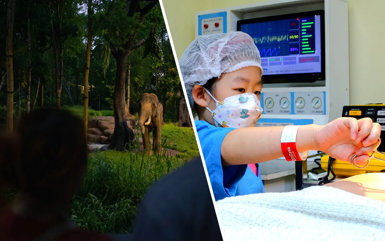 Elephant in forest at Chawang Exhibit with two viewers; child practicing surgery at KidZania.