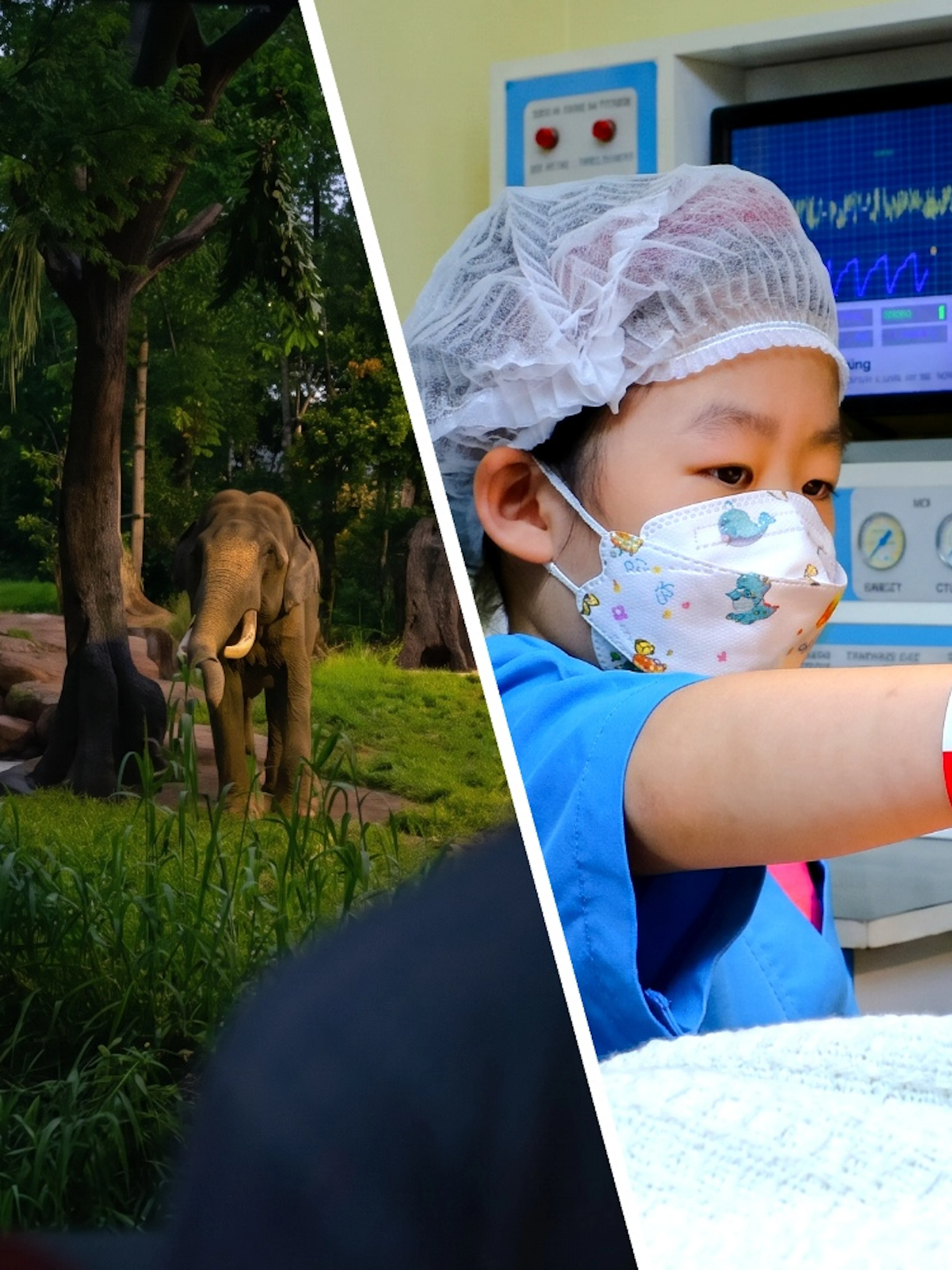 Elephant in forest at Chawang Exhibit with two viewers; child practicing surgery at KidZania.