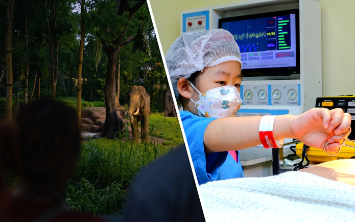 Elephant in forest at Chawang Exhibit with two viewers; child practicing surgery at KidZania.