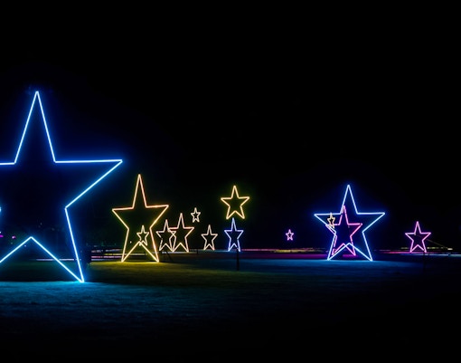 Illuminated star displays at Blenheim Christmas Lights event.