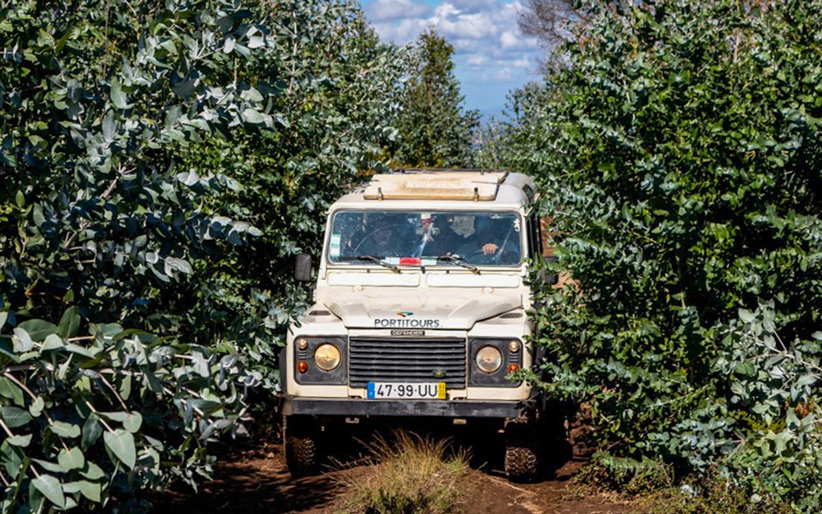 full-day jeep tour in algarve-8 full-day jeep tour in algarve-8