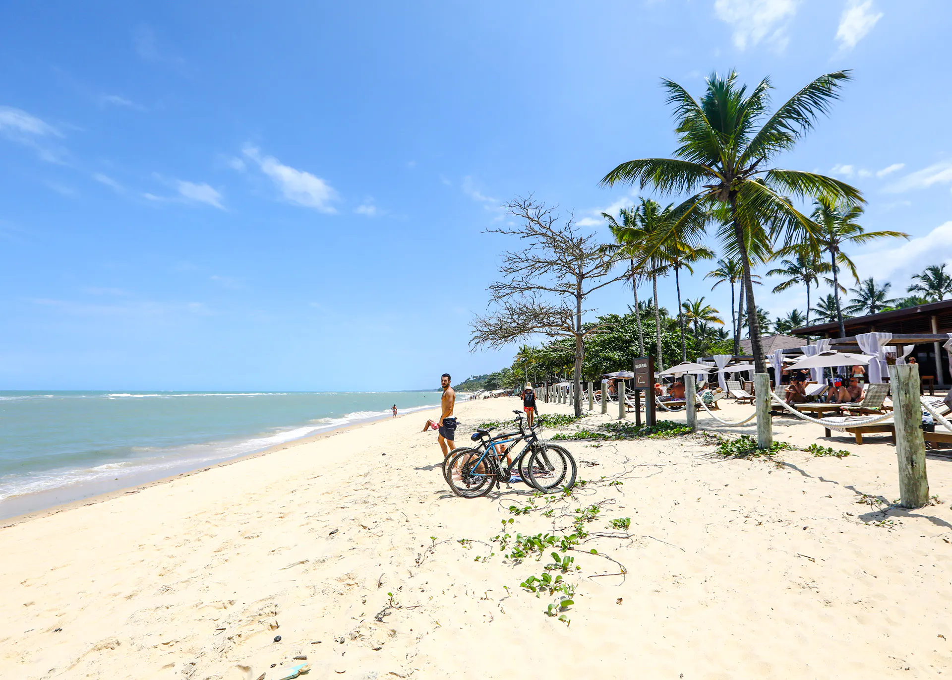 Beachfront with palm trees and bicycles in Arraial d'Ajuda, Porto Seguro, Brazil.