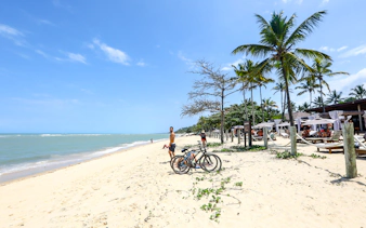 Beachfront with palm trees and bicycles in Arraial d'Ajuda, Porto Seguro, Brazil.