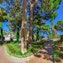 Gardens of Augustus