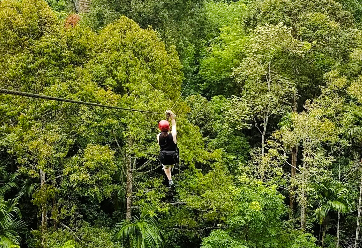 Person ziplining through lush forest canopy in Krabi, Thailand.